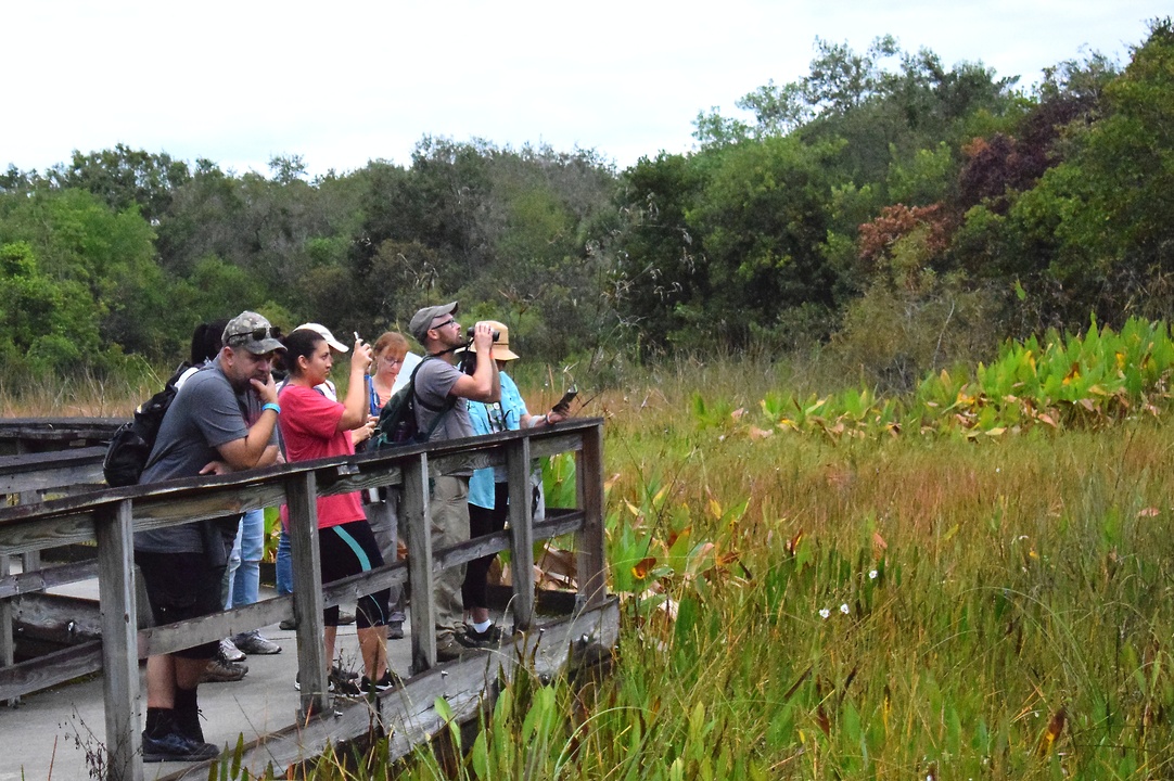 Matt teaching the group about birds along the boardwalk at Tree Tops Park