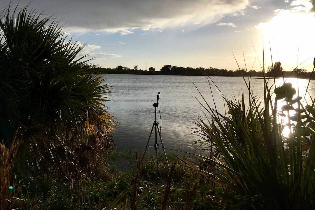 These Bat Boxes record ultrasong bat calls throughout the night