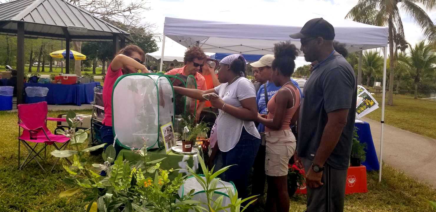 The butterfly booth in full swing