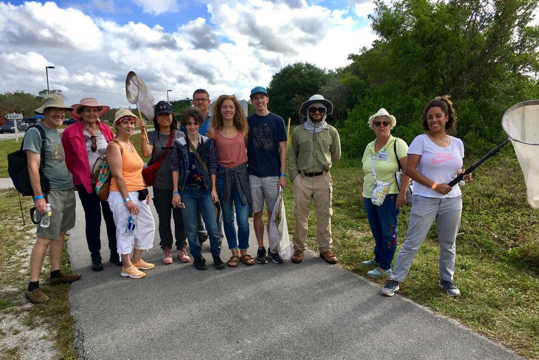 Our great group of insect hunters