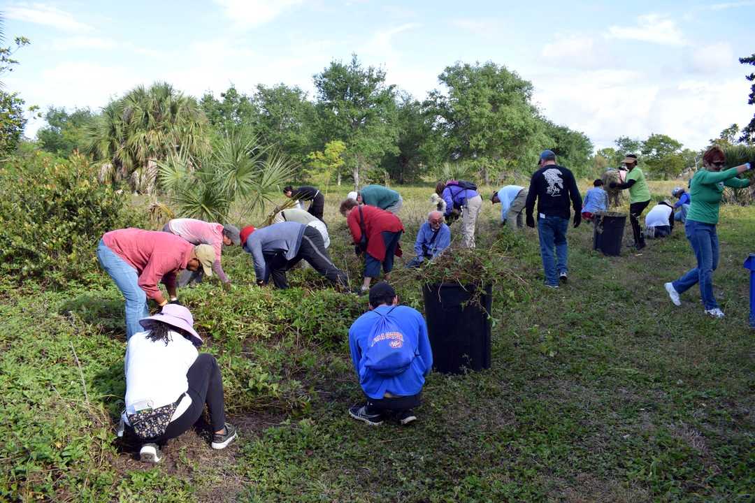 Our great invasive species task force hard at work