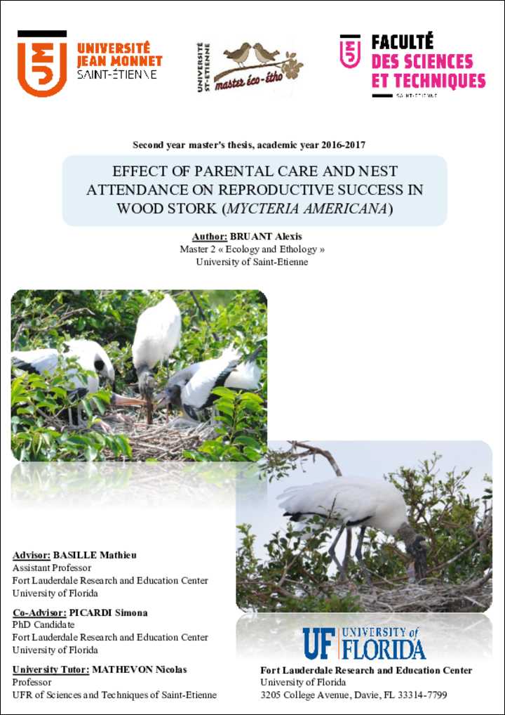 Effect of parental care and nest attendance on reproductive success
in wood stork (Mycteria
americana)