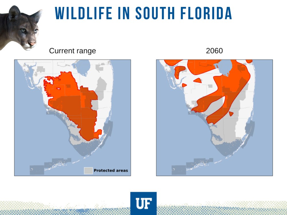 Endangered Species of Florida in the Face of Climate Change.